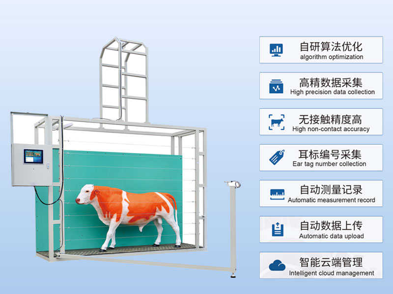 AI cattle body measurement device